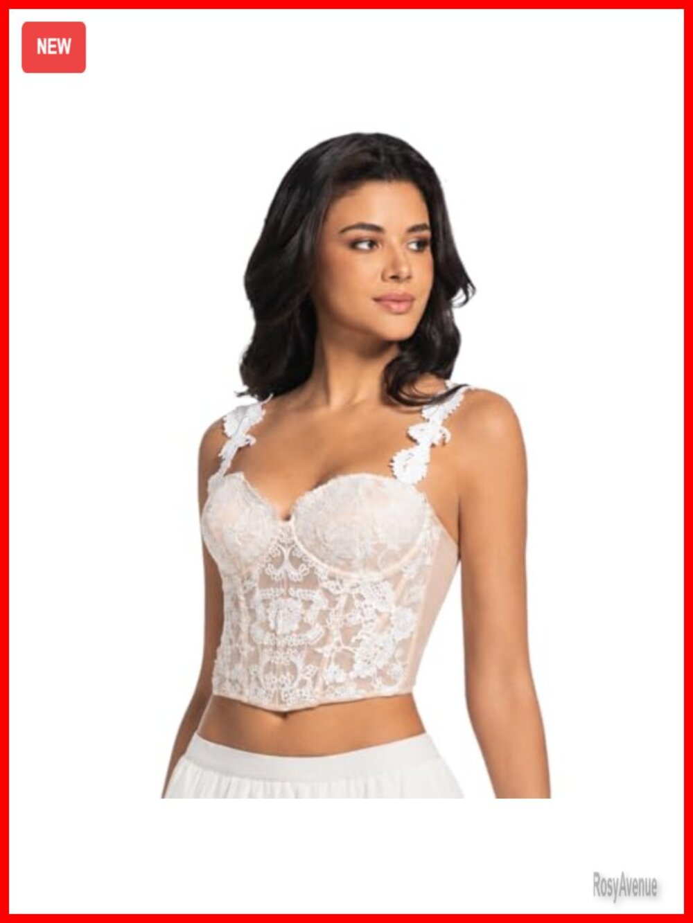 Women's Lace Mesh Corset Top Floral Embroidery Bustier